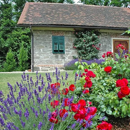 In Der Steiermark Mit Pool & Aussicht Ferienhaus *